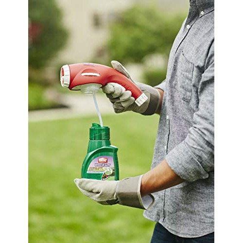 Ortho Weed B Gon Chickweed, Clover & Oxalis Killer for Lawns Conce...