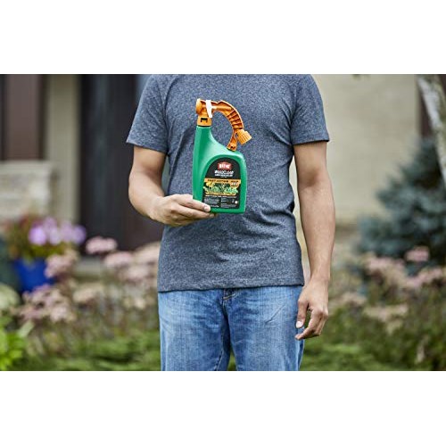 Ortho WeedClear Lawn Weed Killer Ready to Spray - Weed Killer for ...