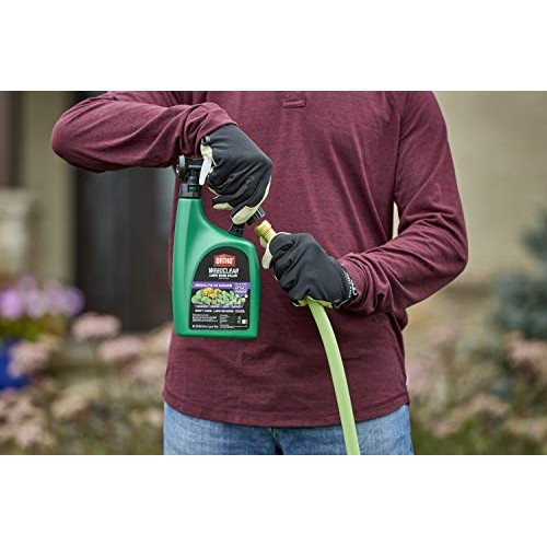 Ortho WeedClear Lawn Weed Killer Ready to Spray3 - Dandelion & Clo...