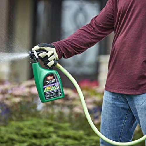 Ortho WeedClear Lawn Weed Killer Ready to Spray3 - Dandelion & Clo...