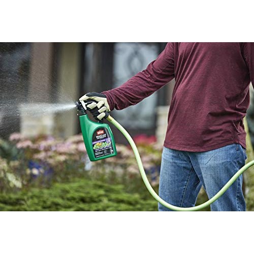 Ortho WeedClear Lawn Weed Killer Ready to Spray3 - Dandelion & Clo...