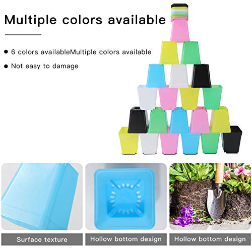 Oubest Plastic Multi Color Plant Pots 3 24 Pcs Square Seed Starte...