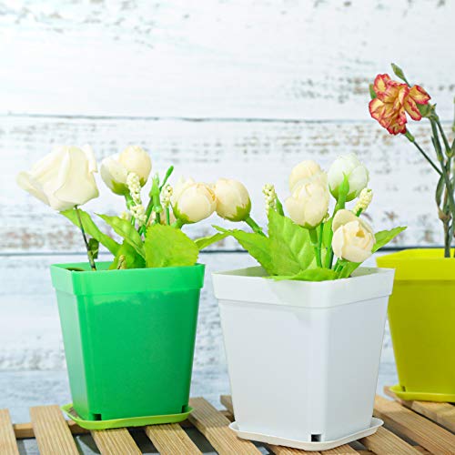 Oubest Plastic Multi Color Plant Pots 3 24 Pcs Square Seed Starte...