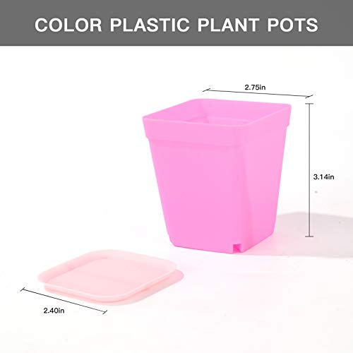 Oubest Plastic Multi Color Plant Pots 3 24 Pcs Square Seed Starte...