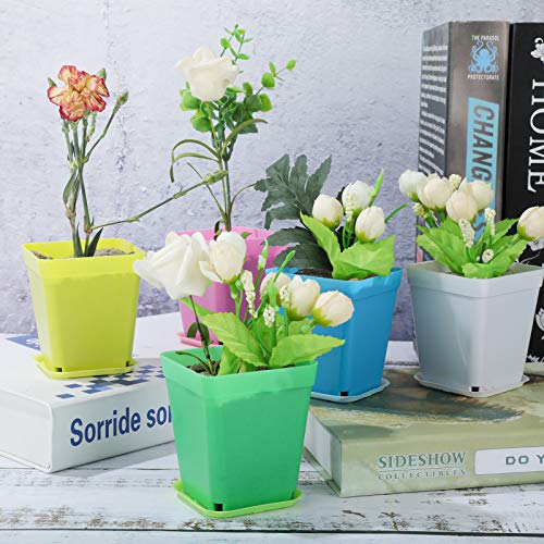 Oubest Plastic Multi Color Plant Pots 3 24 Pcs Square Seed Starte...