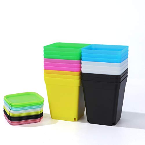 Oubest Plastic Multi Color Plant Pots 3 24 Pcs Square Seed Starte...
