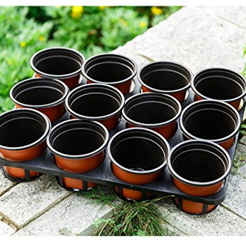 Oubest Plastic Plant Nursery Pots 4 100 pcs for Succulent Propaga...