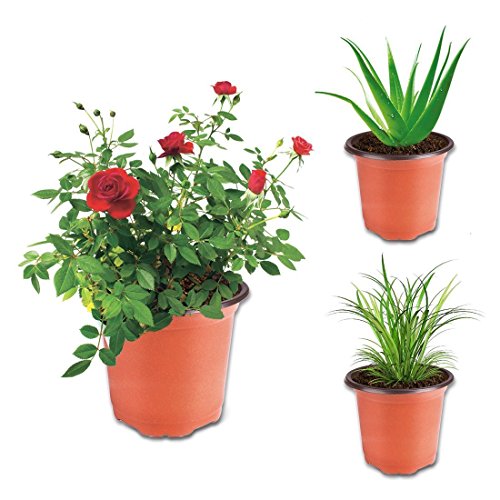 Oubest Plastic Plant Nursery Pots 4 100 pcs for Succulent Propaga...
