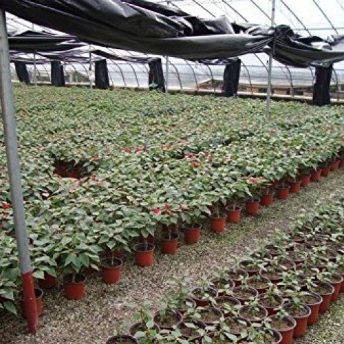 Oubest Plastic Plant Nursery Pots 4 50 pcs Reusable for Seed Star...