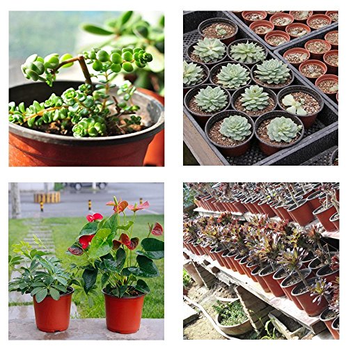 Oubest Plastic Plant Nursery Pots 4 50 pcs Reusable for Seed Star...