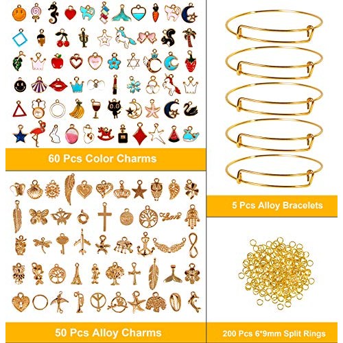 315 Pcs Charms for Jewelry Making, Ouddy Charms for Bracelets Neck...