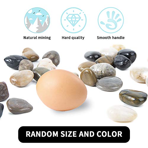 OUPENG Pebbles Polished Gravel, Natural Polished Mixed Color Stone...
