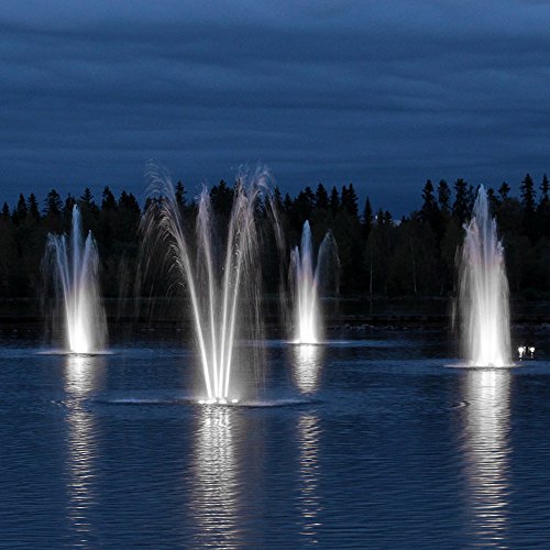 OurLeeme Underwater Light Spot Light 12V LED Pond Light, IP65 Wate...