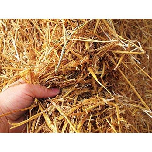 1 Cubic Foot of 100% Natural and Organic Wheat Straw