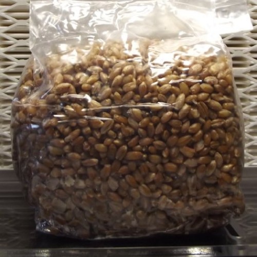 2 One Pound Bags of Sterilized Rye Berry Mushroom Spawn.
