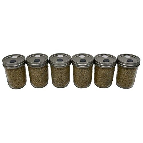 BRF Jars Brown Rice Flour Mushroom Substrate Six Pack