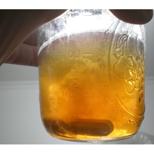 Lions Mane Mushroom Liquid Culture