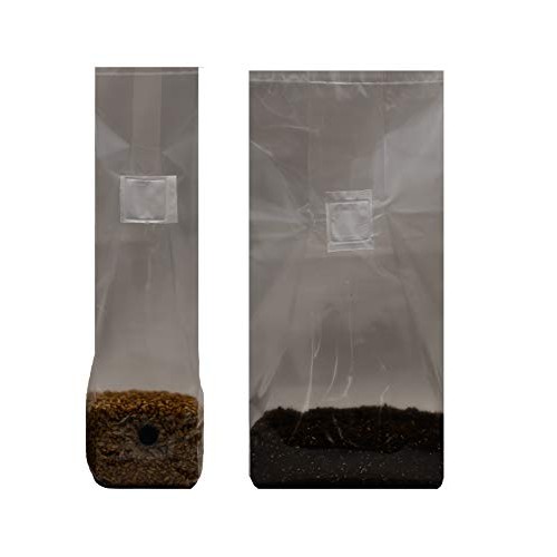 Mushroom Grow Kit Quick Kit