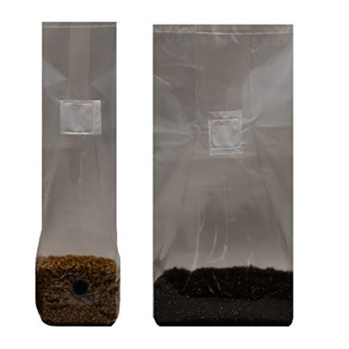 Mushroom Grow Kit Quick Kit
