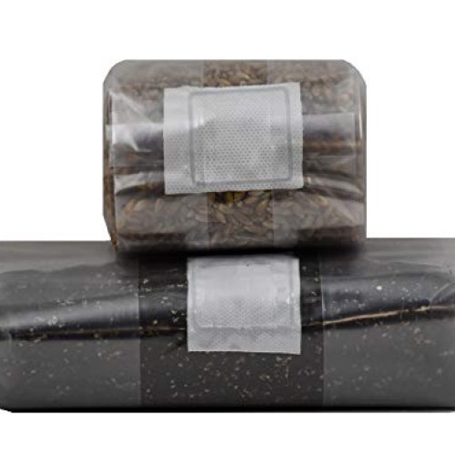 Mushroom Grow Kit Quick Kit