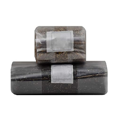 Mushroom Grow Kit Quick Kit