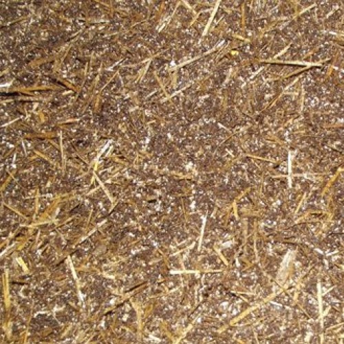 Pasteurized Straw and Horse Manure Bulk Mushroom Substrate 10 lbs
