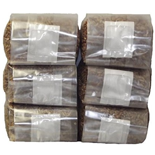 Six 1 Pound Bags of Sterilized Rye Berries Substrate in Mushroom G...