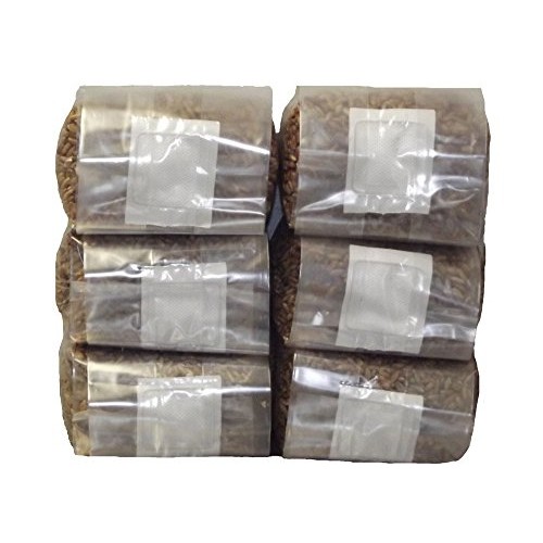 Six 1 Pound Bags of Sterilized Rye Berries Substrate in Mushroom G...
