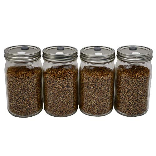 Sterilized Rye Berry Mushroom Substrate in Injectable Jars by Out-...