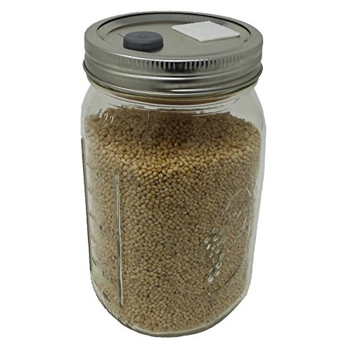 Sterilized White Millet Mushroom Substrate in Injectable Quart Jar