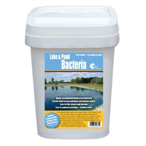 Outdoor Water Solutions PSP0074 Lake and Pond Bacteria Pack