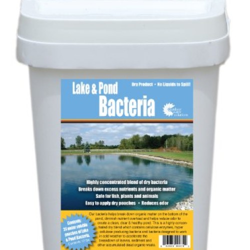 Outdoor Water Solutions PSP0074 Lake and Pond Bacteria Pack