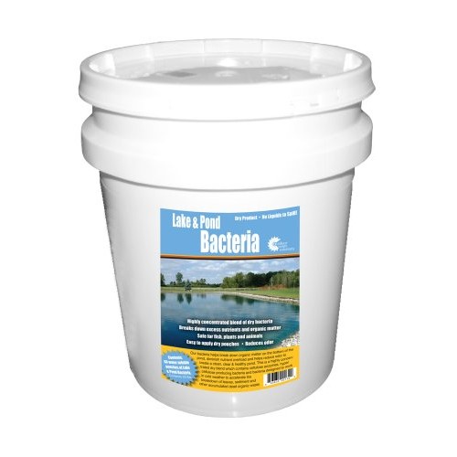 Outdoor Water Solutions PSP0132 Lake and Pond Bacteria