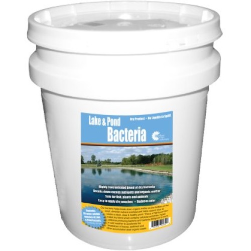 Outdoor Water Solutions PSP0132 Lake and Pond Bacteria