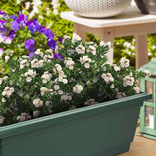 Outland Living 4 Packs 26.5 inches Outdoor and Indoor Rectangle Pl...