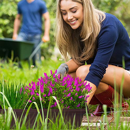 Outland Living Outdoor and Indoor Rectangle Plastic Planter Box Pe...
