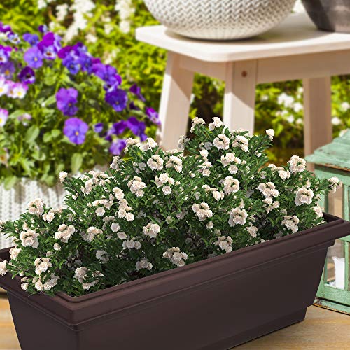 Outland Living Outdoor and Indoor Rectangle Plastic Planter Box Pe...