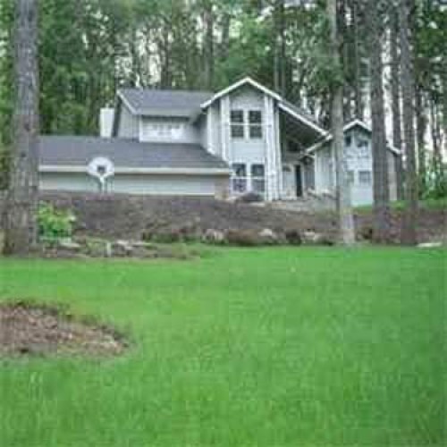 Outsidepride Showtime Ryegrass, Kentucky Bluegrass, Fine Fescue La...