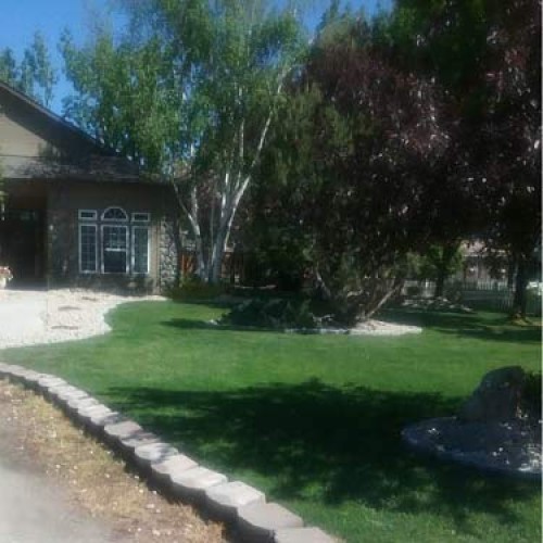 Outsidepride Showtime Ryegrass, Kentucky Bluegrass, Fine Fescue La...