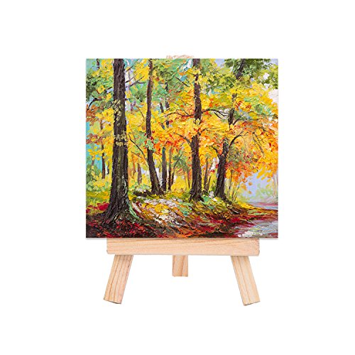 Outus 12 Pack Mini Canvas Panels for Painting Craft Drawing 3 x 3...