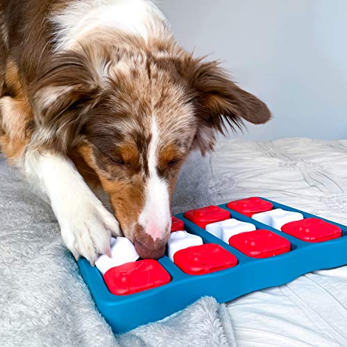 Outward Hound Nina Ottosson Dog Brick Interactive Treat Puzzle Dog...