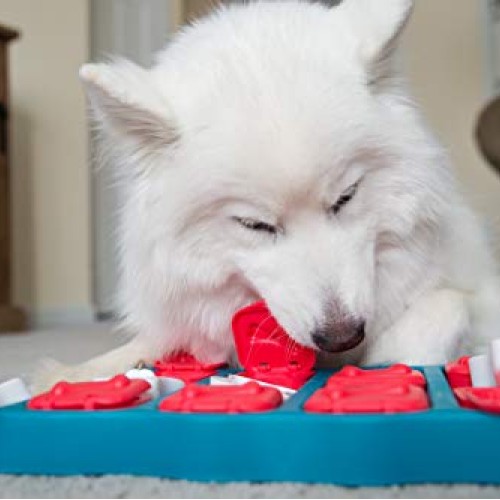 Outward Hound Nina Ottosson Dog Brick Interactive Treat Puzzle Dog...