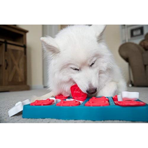 Outward Hound Nina Ottosson Dog Brick Interactive Treat Puzzle Dog...