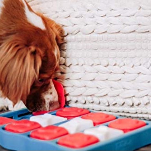 Outward Hound Nina Ottosson Dog Brick Interactive Treat Puzzle Dog...