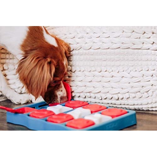 Outward Hound Nina Ottosson Dog Brick Interactive Treat Puzzle Dog...