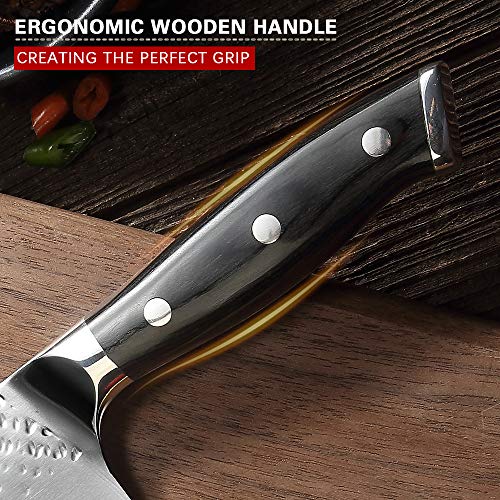 Pro Chef Knife 8 Inch, Japanese AUS-10V Super Stainless Steel Kitc...