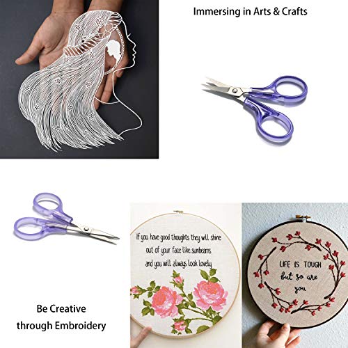 PAFASON Stainless Steel Curved & Straight Embroidery Detail Scisso...
