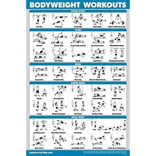 Palace Learning 4 Pack - Dumbbell Workouts + Bodyweight Workouts +...