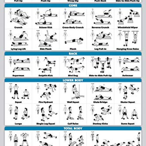 Palace Learning 4 Pack - Dumbbell Workouts + Bodyweight Workouts +...