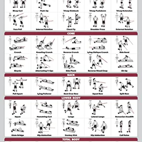 Palace Learning 4 Pack - Dumbbell Workouts + Bodyweight Workouts +...